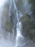 in the falls.jpg